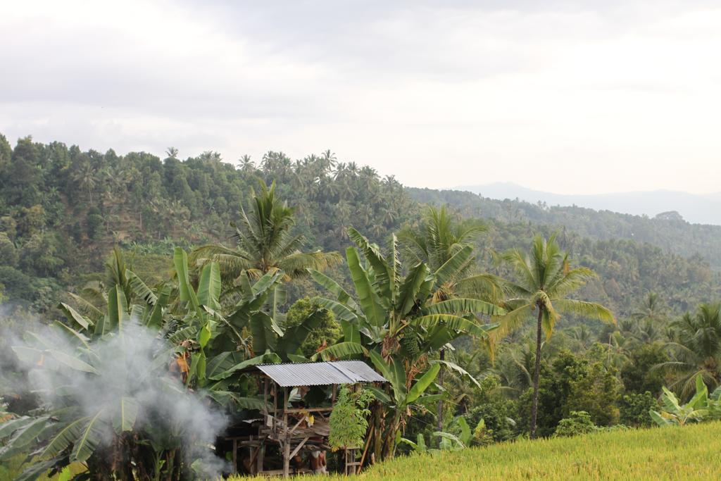 Yoga Homestay Munduk エクステリア 写真