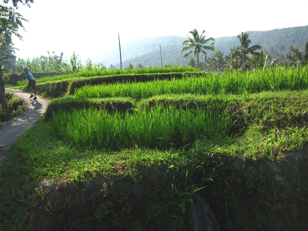 Yoga Homestay Munduk エクステリア 写真