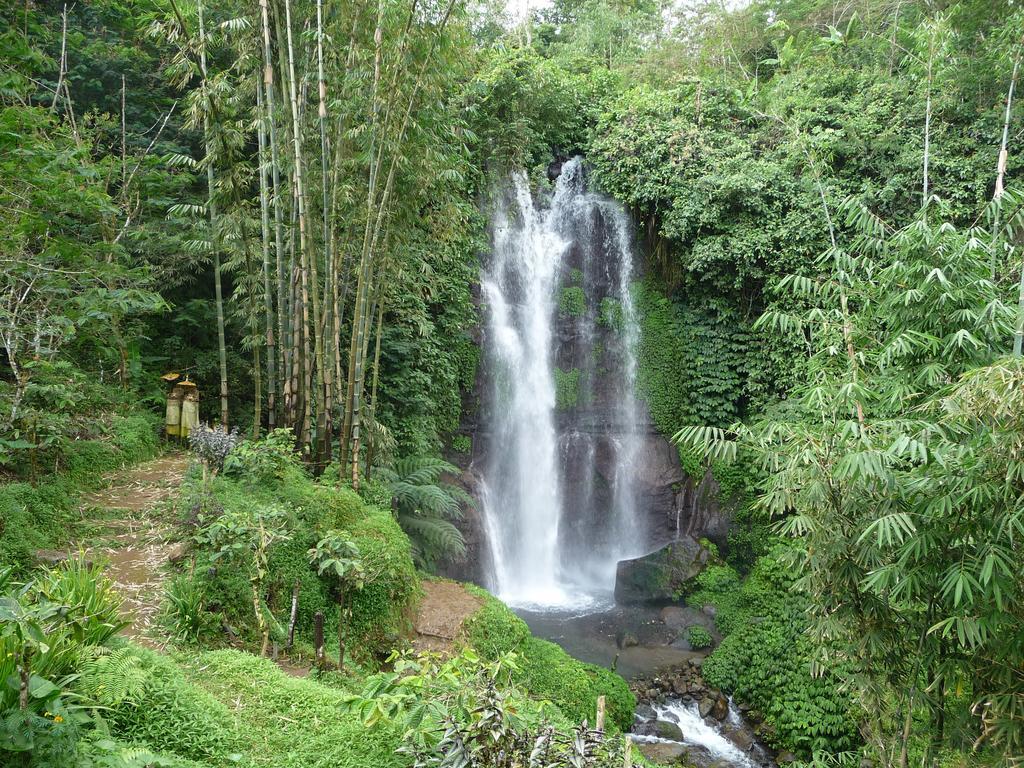 Yoga Homestay Munduk エクステリア 写真