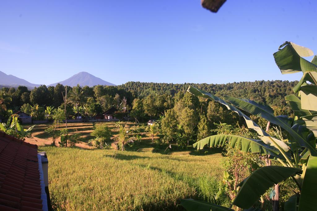 Yoga Homestay Munduk エクステリア 写真