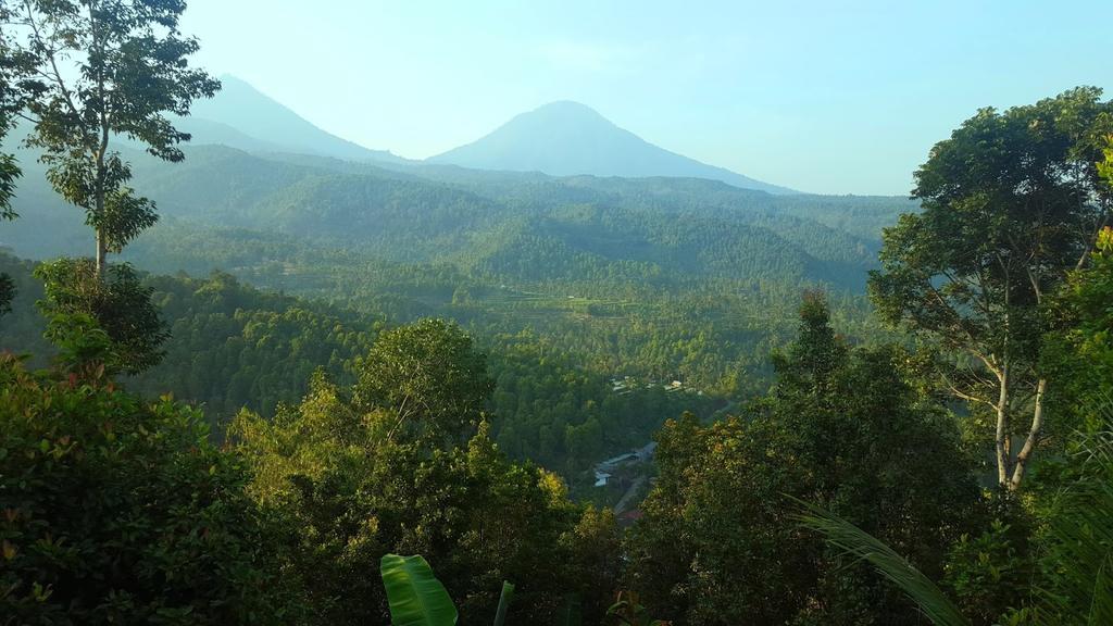 Yoga Homestay Munduk エクステリア 写真